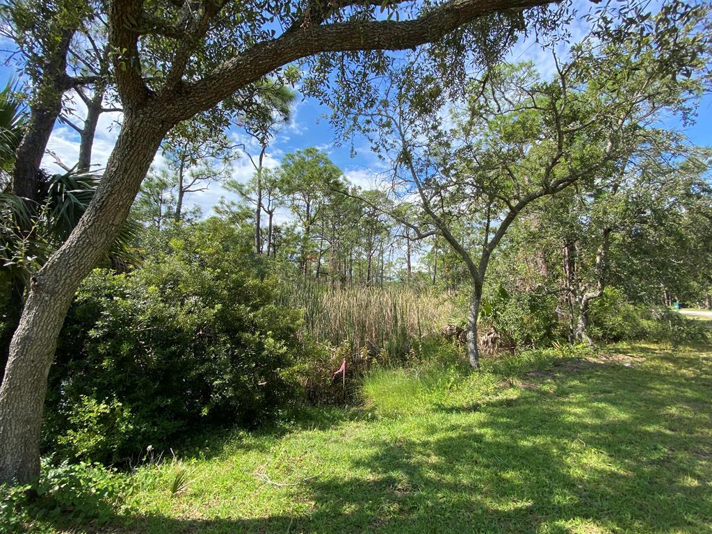 St. George Island, Florida 32328, United States, ,Land,Active,76042 St. George Island, Florida 32328, United States, ,Land,Active,76042