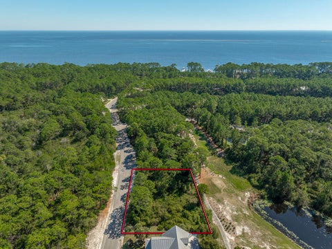 Photo of 211 Royal Tern Way, Carrabelle, FL 32323 (MLS # 329773)