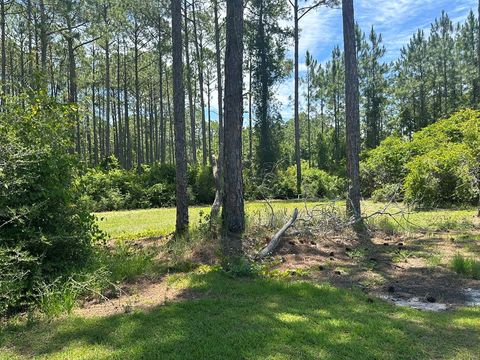Photo of 102 Royal Tern Way, Carrabelle, FL 32322 (MLS # 317714)