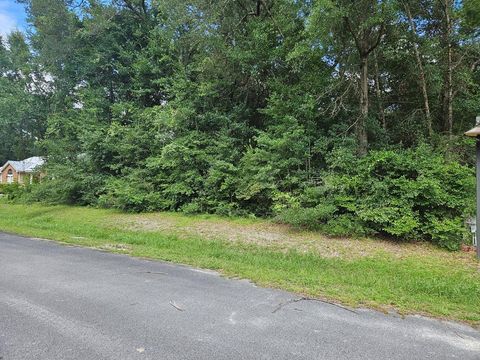 Photo of Lot 11 Little River Cir, Wewahitchka, FL 32465 (MLS # 327683)