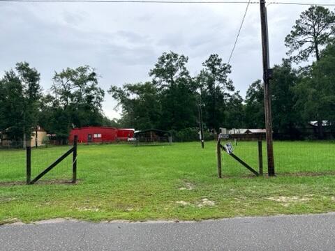 Photo of 132 S Kim Ave, Wewahitchka, FL 32465 (MLS # 329738)