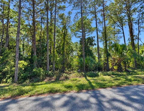 Photo of Lot 4 Country Club Rd, Port Saint Joe, FL 32456 (MLS # 329722)