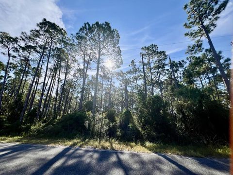 Photo of LOT 15 Country Club Rd, Port Saint Joe, FL 32456 (MLS # 324083)
