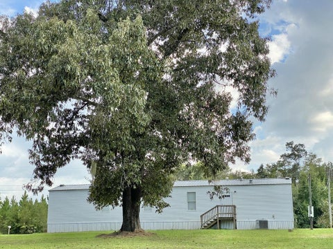 Photo of 352 Michael St, Wewahitchka, FL 32465 (MLS # 328374)