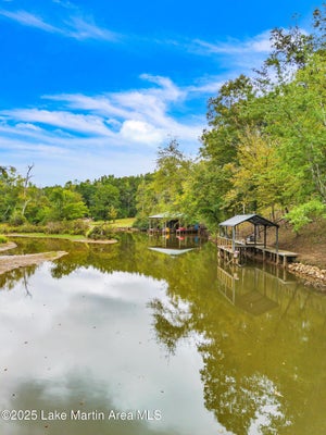 MANOY LOOP, JACKSONS GAP, AL 36861 - Image 03ea039d935ea6137c6a4ca76cfa092b/325250366