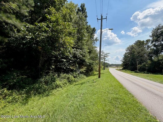STATE RTE 50, LA FAYETTE, AL 36862 - Image 0bfe4f1832dcd0dafdf2eebb6ada18e6/3612065642