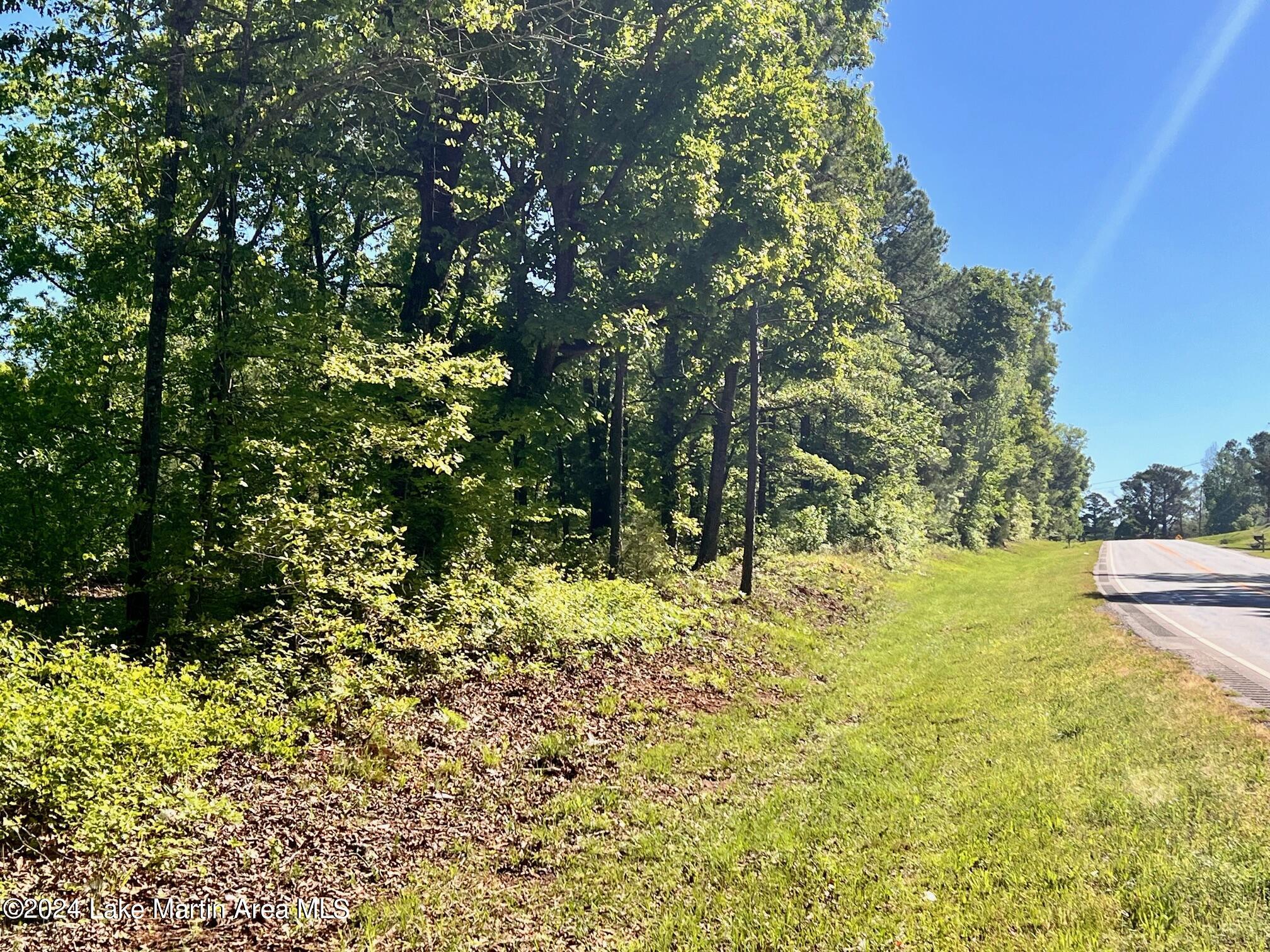 Photo 1 of 7 — HY 49, Dadeville, AL 36853