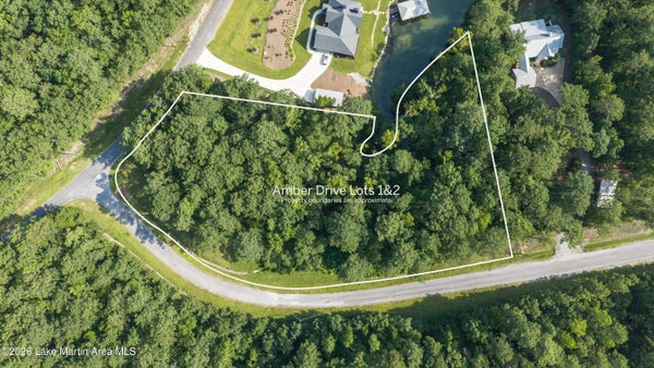 AMBER DR, JACKSONS GAP, AL 36861 - Image 34a07e4bb0854503ddade83e0f3ce566/4032292000
