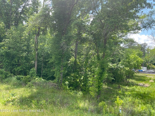 ROBINSON RD, ALEXANDER CITY, AL 35010 - Image 7490b2e4260ec596d4155e1a4e34f5ec/2935177063