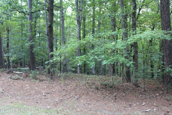 ADDRESS PRIVATE, DADEVILLE, AL  - Image aa79ed7bdadae6d321c1fd7adbba149f/2401119708