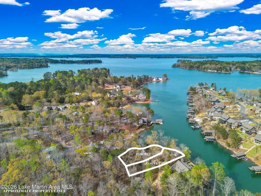 99 CAMP TALISI RD, ECLECTIC, AL 36024 - Image b5bdfebf402e4e823e150e42d55958a8/129876896