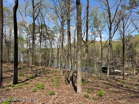 LAKEVIEW DR, TALLASSEE, AL 36078 - Image ca44ca632d2c2918936815fdf0ab31cf/539705196