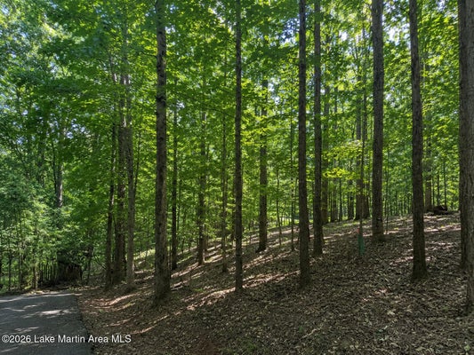 31 LEGEND VIEW CT, DADEVILLE, AL 36853 - Image cb24f59bac5c21cbbb72a2cd1191ba48/978952901