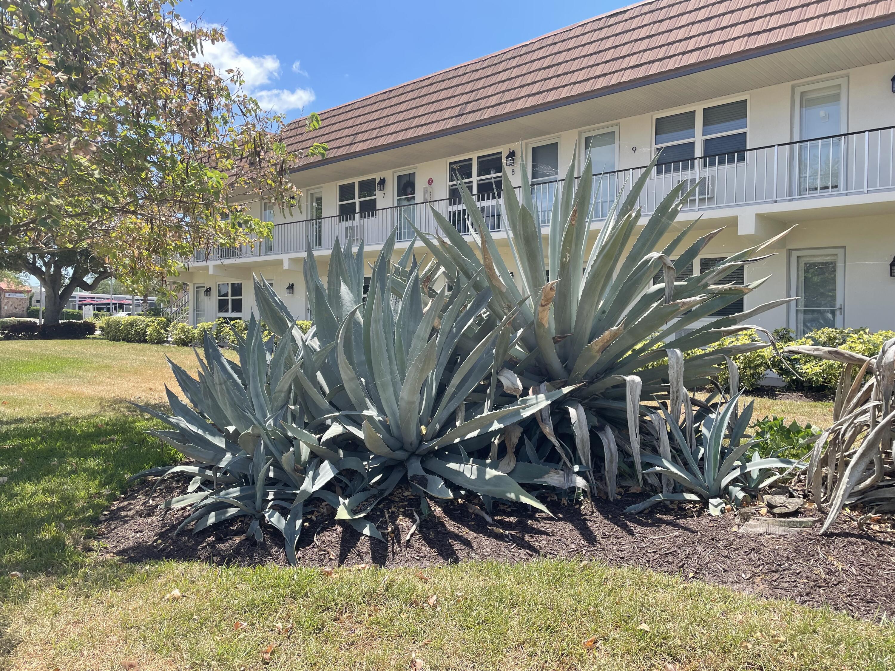 Marco Island, Florida 34145, United States, 1 Bedroom Bedrooms, ,1 BathroomBathrooms,Residential,Active,59682