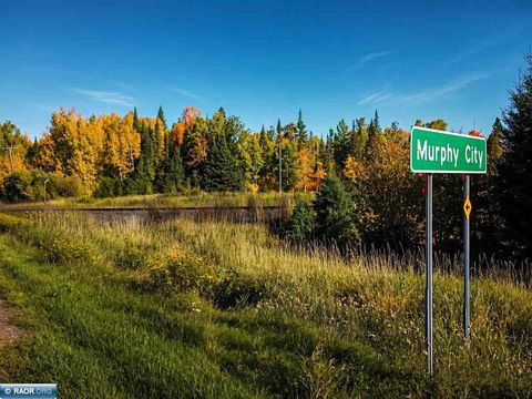 Photo of TBD Hwy 1, Murphy City, MN 55603 (MLS # 149111)
