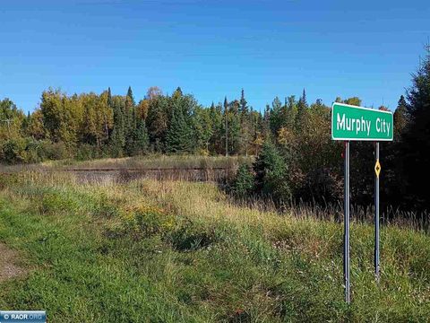 Photo of TBD Hwy 1, Murphy City, MN 55603 (MLS # 149111)