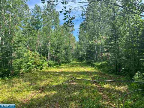 Photo of TBD Town Road 118, Birchdale, MN 56629 (MLS # 149836)