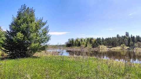 Photo of 80048 Tamarack Trail, Tower, MN 55790 (MLS # 148182)