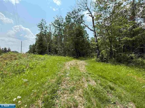Photo of TBD Samuelson Road-Sec22, Angora, MN 55703 (MLS # 148039)