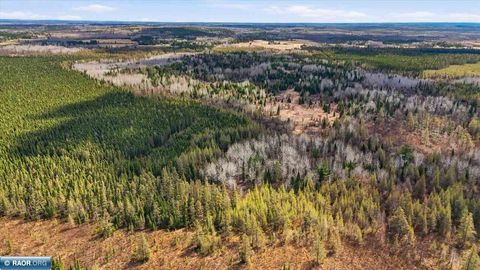 Photo of 8849 Hwy 25, Angora, MN 55703 (MLS # 149963)