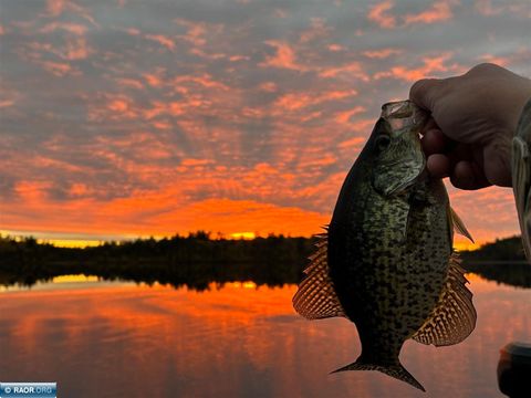 Photo of TBD Wilderness Way, Cook, MN 55723 (MLS # 149290)