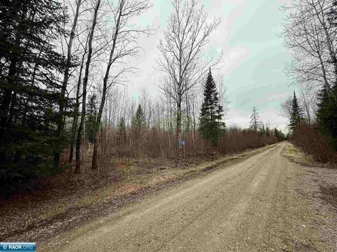 Photo of 10801 Town Road 69, Gheen, MN 55771 (MLS # 149823)