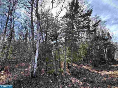 Photo of TBD Hwy 65, Britt, MN 55710 (MLS # 149796)