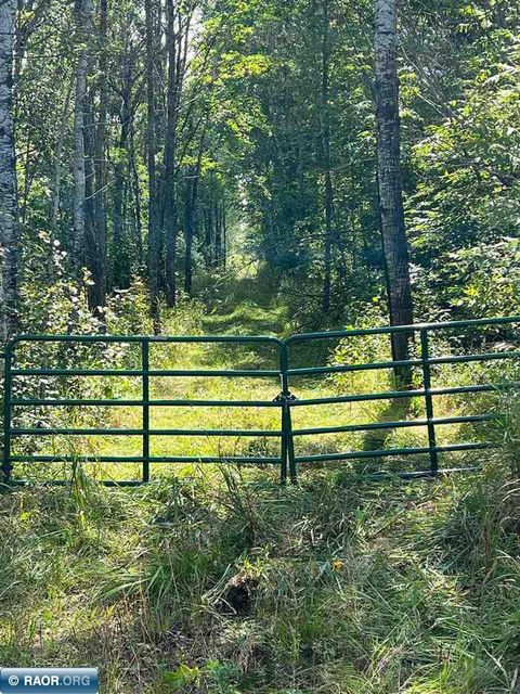 Photo of TBD County Road 3, Ray, MN 56669 (MLS # 149052)