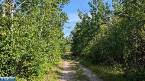Photo of TBD Kennedy Road, Cook, MN 55723 (MLS # 150547)
