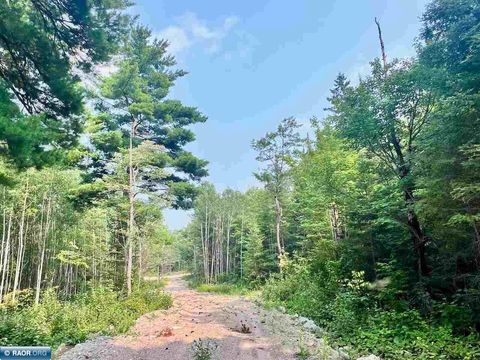 Photo of Parcel B Vermilion Lake Rd, Cook, MN 55723 (MLS # 148849)