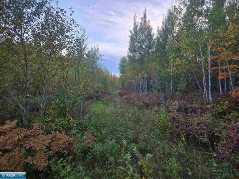 Photo of TBD Sherwood Anderson Rd, Britt, MN 55710 (MLS # 149053)