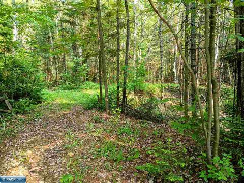 Photo of TBD Long Lakes Shores Road, Eveleth, MN 55734 (MLS # 148518)