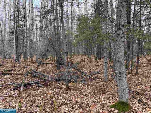 Photo of TBD Shannon Lake Rd, Side Lake, MN 55781 (MLS # 149425)