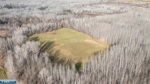 Photo of 11680 Co Rd 59, Gheen, MN 55771 (MLS # 149689)