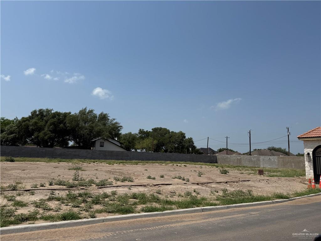 1601 S Lea Avenue, Edinburg, Texas image 1