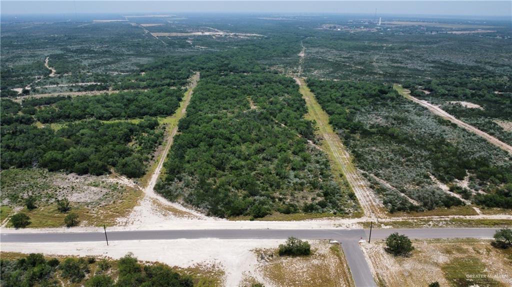 60 E Falcon Trail, Rio Grande City, Texas image 1