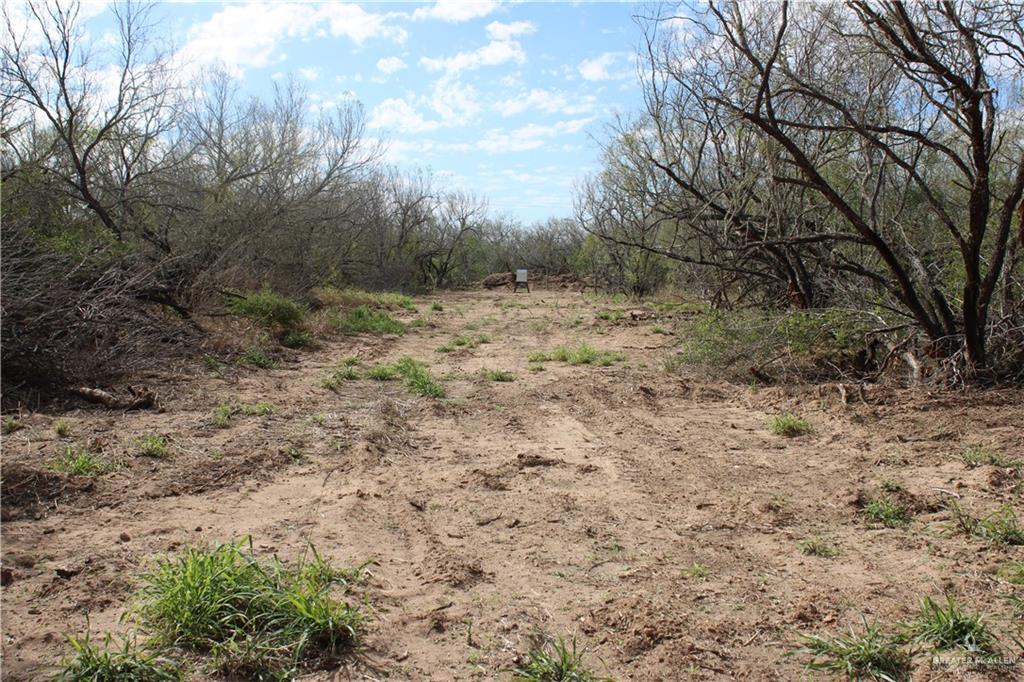 State Highway 285 Highway, Falfurrias, Texas image 9