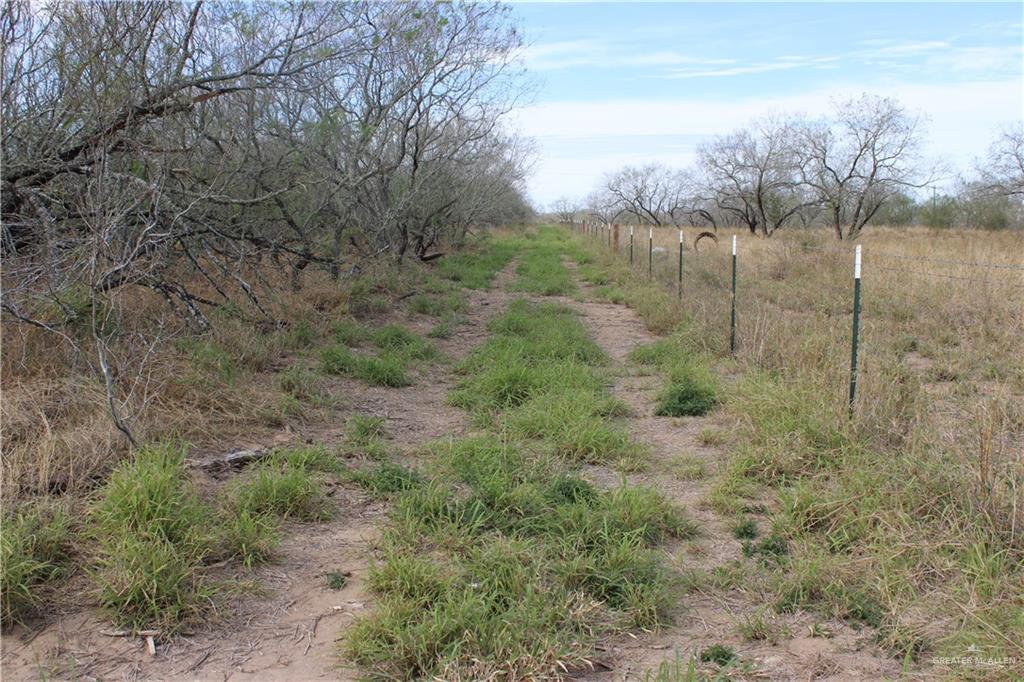 State Highway 285 Highway, Falfurrias, Texas image 6