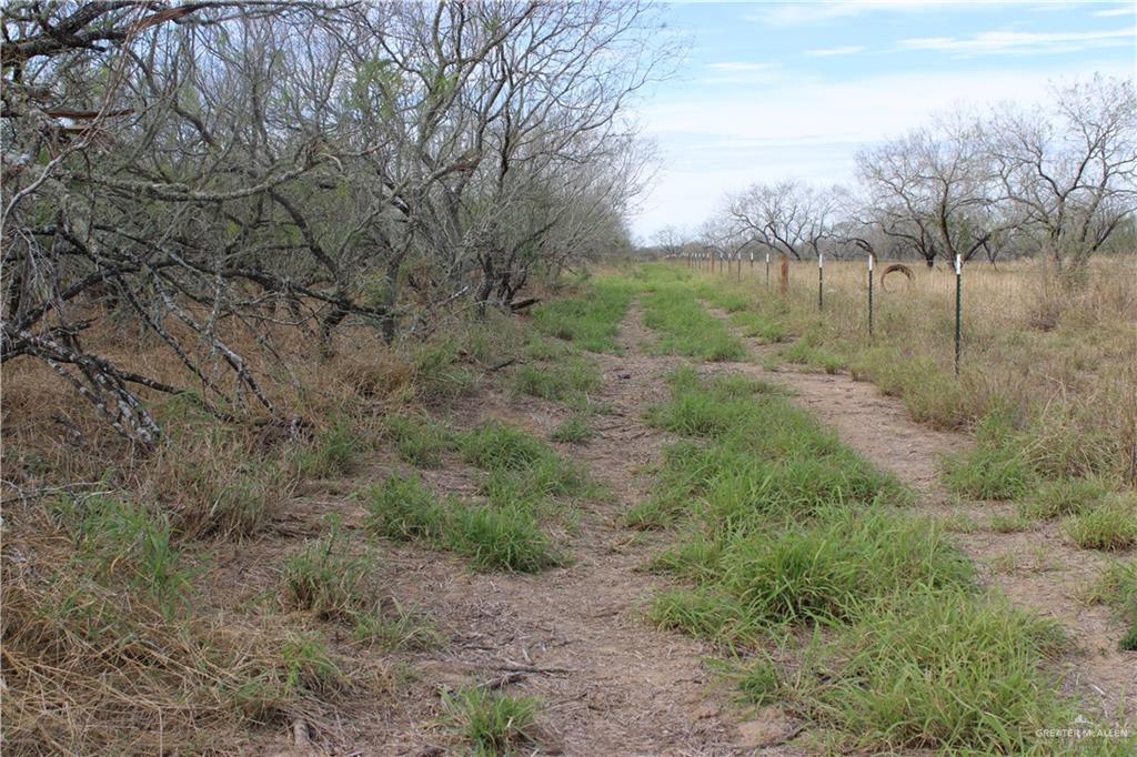 State Highway 285 Highway, Falfurrias, Texas image 7