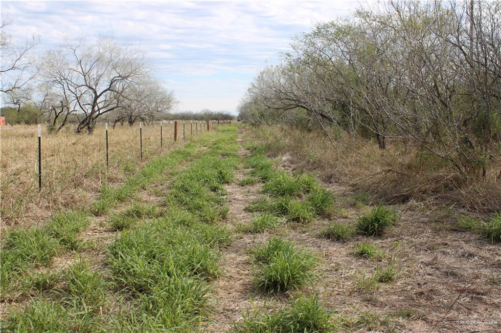 State Highway 285 Highway, Falfurrias, Texas image 12