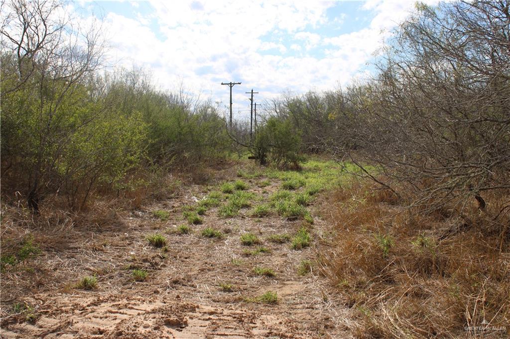 State Highway 285 Highway, Falfurrias, Texas image 11