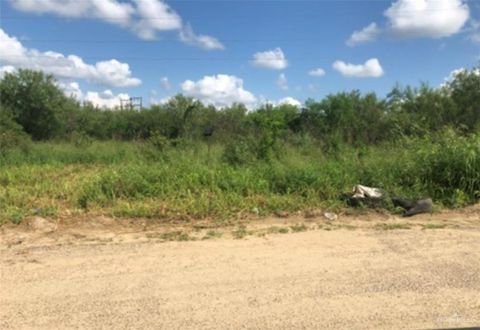 Vacant Land For Sale - 311 Dolphin Street<br/> Starr County, Roma, TX 78584