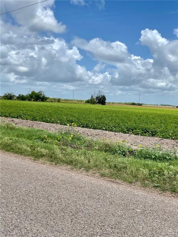 TBD W Baker Drive, Progreso, Texas image 3