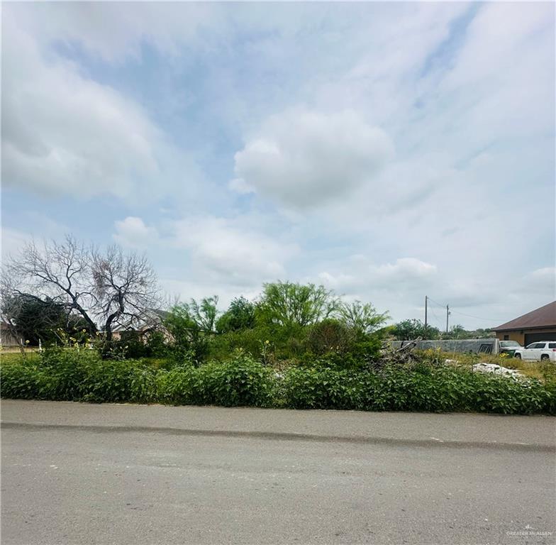 N La Paloma Street, Rio Grande City, Texas image 1