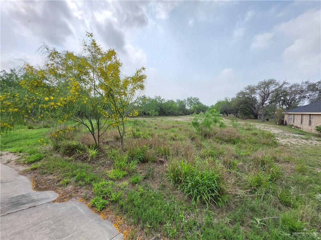 000 E Mile 2 Road, Mission, Texas image 3