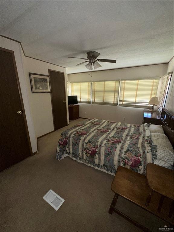 411 Citrus Circle #60, San Juan, Texas image 15