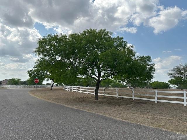 34313 Buck Fawn Drive, Edinburg, Texas image 3