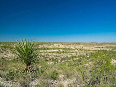 Vacant Land For Sale - 47 Rock House Road<br/> Terrell County, Dryden, TX 78851
