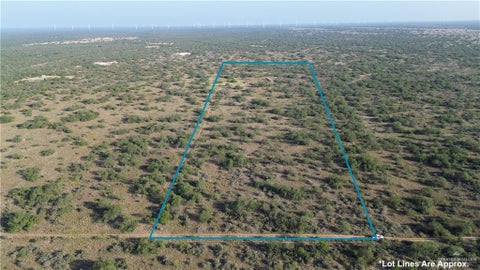 Vacant Land For Sale - 0000 Mendoza Road<br/> Zapata County, Zapata, TX 78076