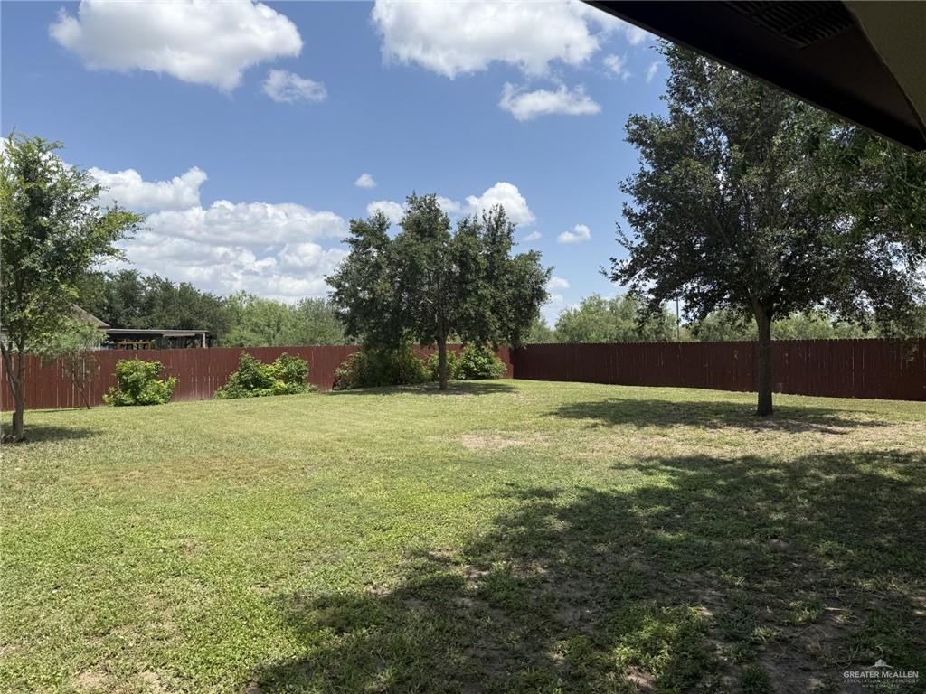 1431 Vida Grande Street, Alamo, Texas image 26